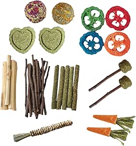 Giocattolo da masticare coniglietto, giocattoli da bunny per i denti,Casetti di dentizione in legno di coniglio di criceto | Piccoli animali domestici Sicuro Care dei denti da masticare per i cincilli