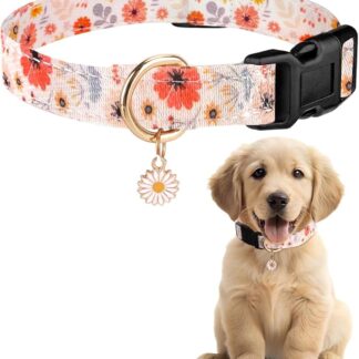Collare estivo per cani colorato, con fiore e dinosauro, con fibbia in plastica, comodo collare in cotone, per ragazzi e ragazze, per cani (fiori, L (collo: 36-60 cm)