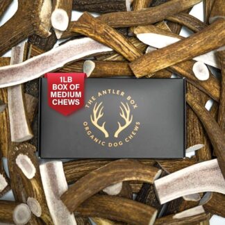 The Antler box Premium Elk Antler Dog Chews (0,5 kilogram confezione bulk) – intero e split antlers-long duratura organico da masticare giocattoli forniti da Naturally Shed Antlers in the USA, Medium