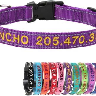 Collare per Cani Nylon Riflettente con Nome Numero di Telefono Personalizzato Ricamati per Cani di Taglia Grande Media Piccola