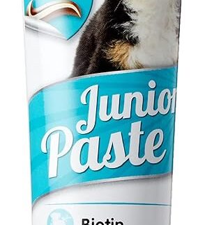 beaphar Junior Pasta Cane | Costruzione Pasta per Giovani Cani Cuccioli portapremio per Forte Osso & Denti | con BIOTINA & Omega 3 & 6 | con B Vitamine | 100 G Tube