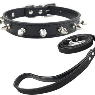 Newtensina Moda Collare e guinzaglio per cuccioli con borchie Collare per cani con borchie punk e guinzaglio per cani di taglia piccola