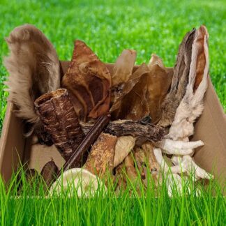 Bolt's Deli 100% Naturale Dog Treat & Chew Box | Una selezione di 25 gustosi trattamenti naturali e crudi | senza glutine, grano e lattosio