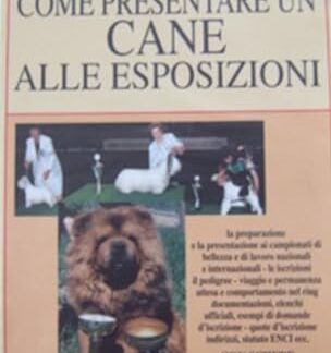 Come presentare un cane alle esposizioni