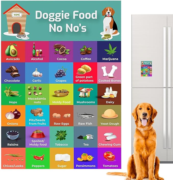 Kongou degli Alimenti per Cani, Tabella degli Alimenti sicuri per Cani | Guida sicura per Cibo per Cani con Magnete con Immagini,Barrette salutari per Cani, Portatili per Animali