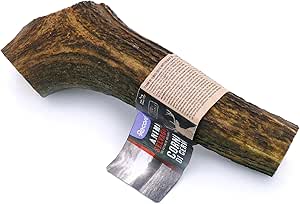 Record - Corna di Cervo, Masticativo Naturale per Cani di Lunga Durata. Snack per Cani Resistenti, Ricchi di Minerali e Calcio, Senza Additivi o Conservanti. Adatto a tutti | L, 121-160 gr