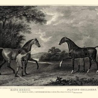 Immagine su TELA ROLLED King Herod e Flying Childers Scott John - Animali e natura orizzontale Stampa artistica Animali Animali Cavalli Cani Cani Caccia Sport Can 22_X_30_in