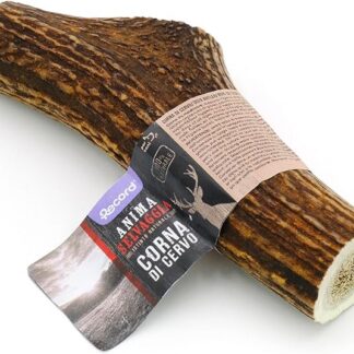 Record - Corna di Cervo, Masticativo Naturale per Cani di Lunga Durata. Snack per Cani Resistenti, Ricchi di Minerali e Calcio, Senza Additivi o Conservanti. Adatto a tutti | M, 81-120 gr
