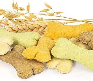 Record biscotti cane BiscoDog. Biscotti cani formato mini. Masticativi per Cani, confezione mix da 10Kg. Biscottini cane gusti vegetali, ricchi di vitamine A-D3-E. Forma di ossa per cani. Pacco scorta