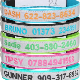 TaiHong - Collare per cani riflettente, personalizzabile con nome e numero di telefono, collare identificativo ricamato, multicolore, 4 misure regolabili: XS, S, M, L (normale)