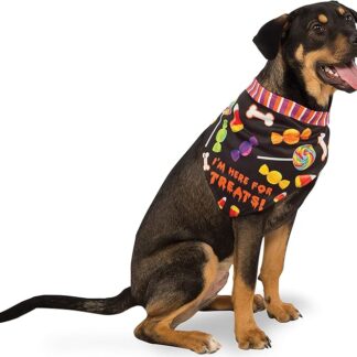 Rubie´s Costume Co Here for The Dog Treats Bandana
