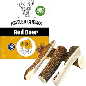 RF - Deer Set di Cervo per Cani 100% Naturale Osso di Cervo per Cani Masticativi Naturali, Giochi e Snack Bocconcino per Cane Taglia XXL SOFT Version 5 Pezzi 0,75-1 kg 19-21 cm