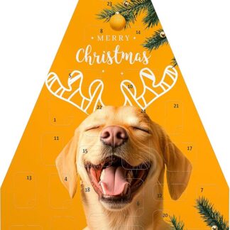 Calendario dell’avvento cane, 2024, deliziosi snack selezionati con cura, per il periodo dell’avvento, snack cane, per tutte le età (1x 244g)