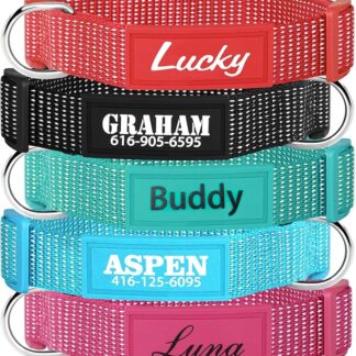 Collare per cani personalizzato con nome e numero stampati, collare riflettente personalizzato regolabile con fibbia per cani di taglia piccola, media e grande, 5 colori e 5 caratteri, per maschi e