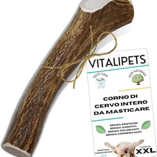 Corno di Cervo per Cani | Taglia XXL Più di 35 Kg | Pulizia Denti Naturale | Masticazione Lunga Durata | Ricco di Calcio e Minerali | Alternativa agli Ossi Industriali | Antistress per Cani Attivi