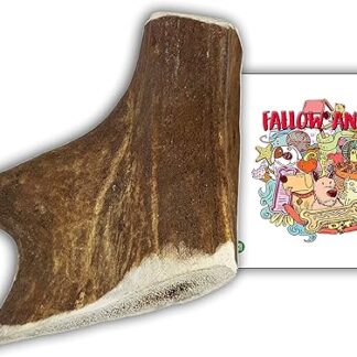 BiMorDischi Pet Products Massaggiagengive per cani – 100% naturale (S 75-150g)