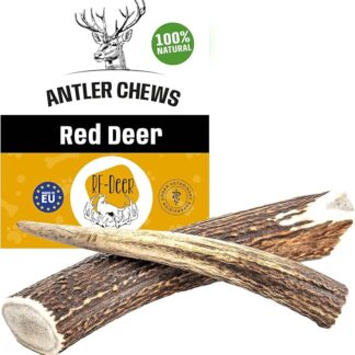 RF - Deer Corno di Cervo per Cani 100% Naturale Osso di Cervo per Cani Masticativi Naturali, Giochi e Snack Bocconcino per Cane Taglia XXL HARD Version 161-200 g 19-21 cm 1 pezzo