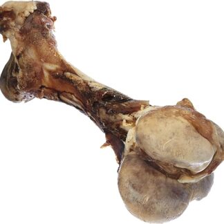 Nobby Cattle Bone, Large