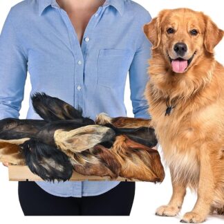 Orecchie di manzo con pelliccia per cani, 10 pezzi, spuntino naturale, a basso contenuto di grassi e senza additivi, articolo da masticare di qualità per intermedio