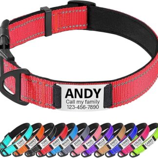TagME Collare per Cani Personalizzato Imbottit, Collare Cane Riflettente in Nylon con Targhetta Identificativa, Regolabile per Cani di Taglia Piccola, Rosso, S