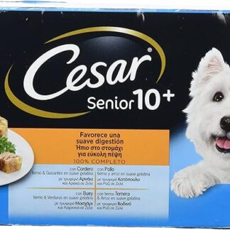 tarrinas per Cani Ricette