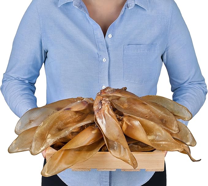 Set di 10 orecchie naturali di bovino con conchiglia per cani – Rafforzare la salute e l'igiene orale del vostro cane