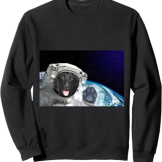 Dog in Space Retriever Curly-Coated Felpa