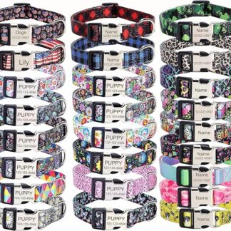 YOUALSO Collare per cani personalizzato, targhetta identificativa con incisione gratuita, XS, S, M, L, regolabile, per gatti e cuccioli (3066 XS-L)