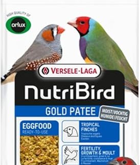 Versele-Laga NutriBird Gold Patee Exotic | 5 kg | Ready to Use Egg Food for Exotic Birds | Moistened with 100% Natural Honey | With Vitamins and Minerals