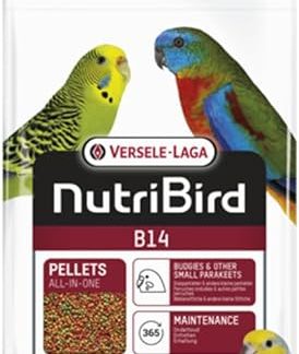 Versele-Laga B14 | 800 g | Maintenance food for parakeets and other small parakeets | Supports intestinal flora and digestion | With natural clay minerals