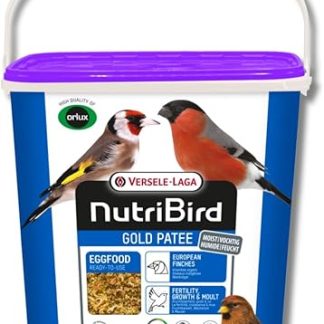 Orlux Gold Patee VERSELE LAGA Breeding Paste for Wild Birds 5 kg