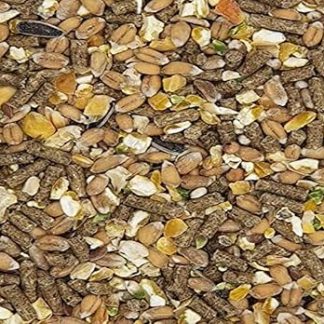 Versele Laga Countrys Best Gold 4 Mix (5kg) (May Vary)