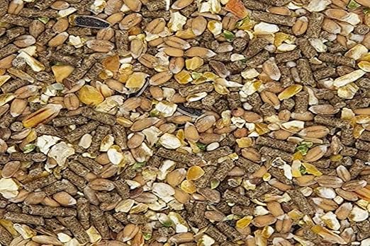 Versele Laga Countrys Best Gold 4 Mix (5kg) (May Vary)