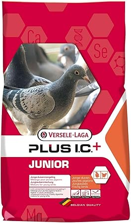 Versele-Laga Junior Plus Ic - Pigeons 20 KG