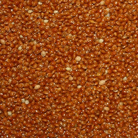 Versele-laga Milletseed Bird Food - Red