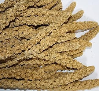 Versele Millet Chinese Yellow 15 kg