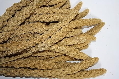 Versele Millet Chinese Yellow 15 kg