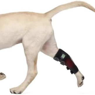 Устройство для терапии красным светом для собак — портативное носимое устройство для снятия боли с помощью холодного лазера, способствующее восстановлению мышечной и суставной ткани.