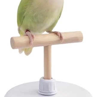 Ptasia — устройство для наблюдения за птицами с ЖК-дисплеем — высокоточная съемка с точностью до 0,1 г для попугаев, канареек, зябликов, конуров, неразлучников, корелл, волнистых попугайчиков.