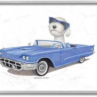 Stupell Industries Dog with Sunglasses in Blue Convertible Family Pet Wall Art, 11 x 14, White