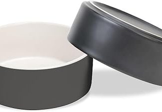 Набор из 2 керамических мисок для собак SPUNKYJUNKY. Миска для кормления кошек и собак (850 мл, бело-серый).