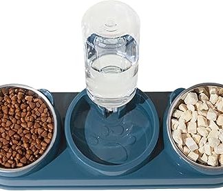 Миска для кошек, приподнятая миска для корма и воды для собак, наклонный диспенсер для воды из нержавеющей стали, товары для животных, для котят, щенков, мелких животных.