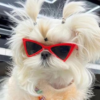 Small Dog Cat Sunglasses for Pet Cool Accessory Irregularly Pet Triangular Sunglasses for Kitten Puppy Cute Photoshoot Accessory for Cats Dogs Cosplay Party Costume