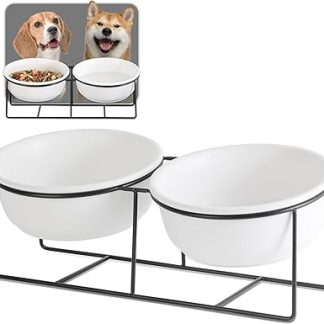 Миска для собак и кошек с функцией подъема и наклона - для средних и крупных кошек - двойная керамическая миска для воды и корма - 850 мл x 2