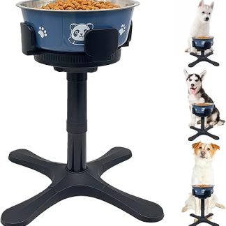 Поднимаем миски, собаки