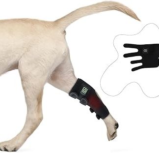 Устройство для терапии красным светом для собак - портативный инфракрасный терапевтический пояс для облегчения мышечных и суставных болей.