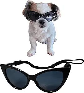 G005-jnst Dog Pet Costume Prop Cateye Sunglasses for Small to Medium Breeds 15-30lbs (Cateye Black)