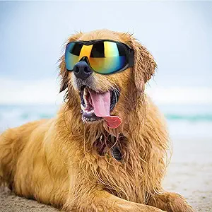 Dog Sunglasses UV, Dog Sunglasses Goggles Pet Sunglasses for Large Dogs with 400UV Protective Polycarbonate Wide Lens to Provide Wide Vision