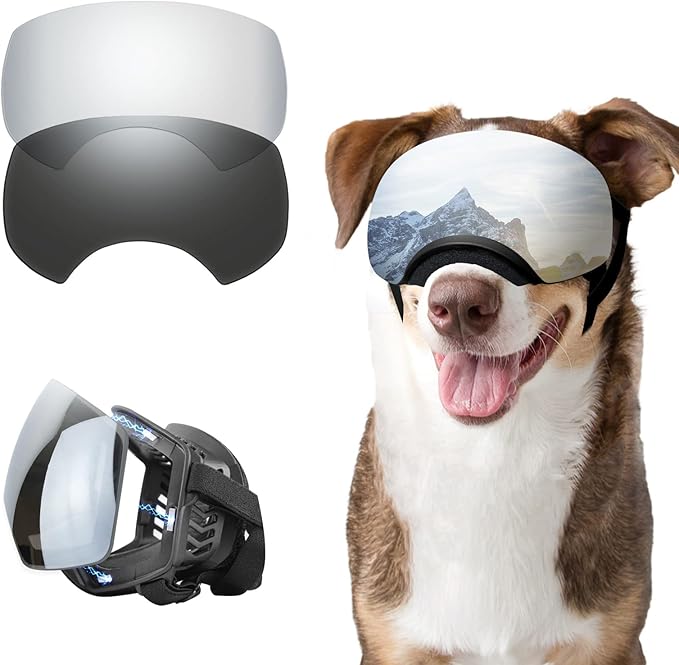 Dogs Goggle for Medium to Large Breed UV Protection Dog Sunglasses with 2 Magnetic Lens - Black Frame Silver Lens and Black Lens