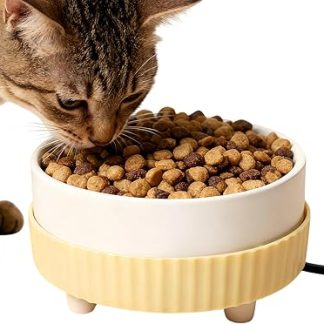 Нагреваемая вода | Керамическая термопоилка, термальная вода для кошек - для щенков, котят, домашних животных, для использования в помещении и на улице, для холодной воды